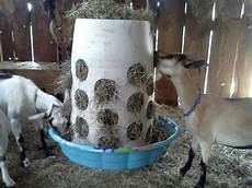 Automatic Goat Feeder