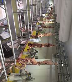 Beef Meat Processing