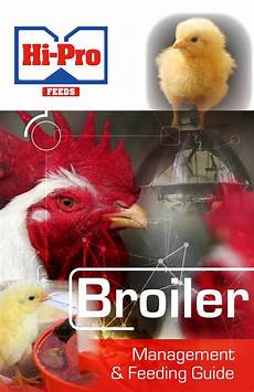 Broiler Chick Feeds