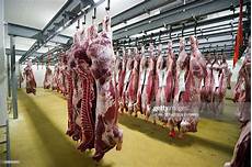 Cow Meat Processing