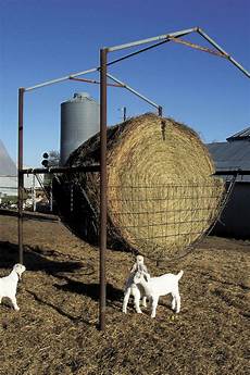 Goat Hay Feeder