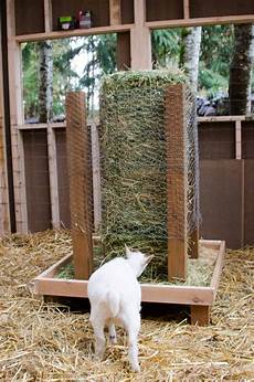 Hay For Goats