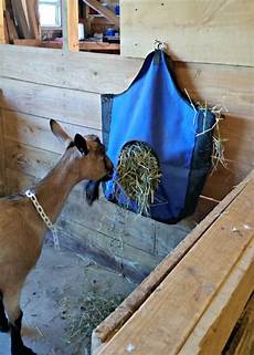 Hay For Goats