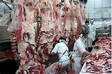 Lamb Meat Processing
