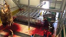 Livestock Slaughtering