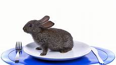 Manna Pro Rabbit Food