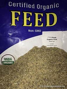 Natural Chicken Feed