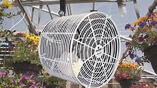 Poultry And Greenhouse Exhaust Fan