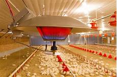 Poultry Control Systems