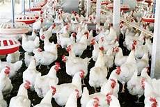Poultry Farm Products