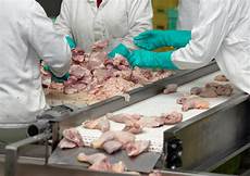 Poultry Feed Processing