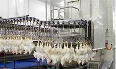 Poultry Slaughter Equipments from Turkey