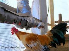 Poultry Watering Systems
