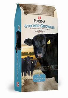 Purina Cattle Feed