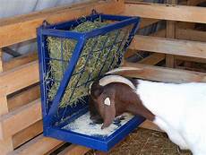 Sweet Feed For Goats