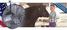Cattle Supplements