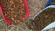 Dumor Horse Feed