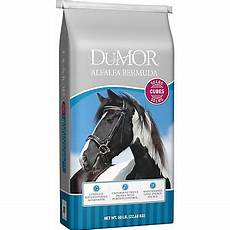 Dumor Horse Feed