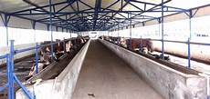 Feed Equipment Poultry