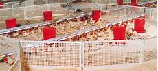 Plastic Poultry Equipment