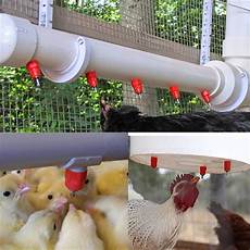 Plastic Poultry Equipment
