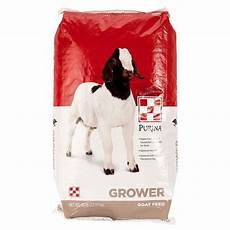 Purina Goat Grower