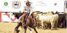 Purina Horse