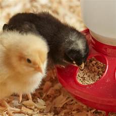 Purina Organic Chicken Feed