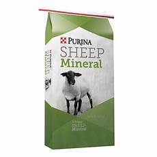 Purina Sheep Feed